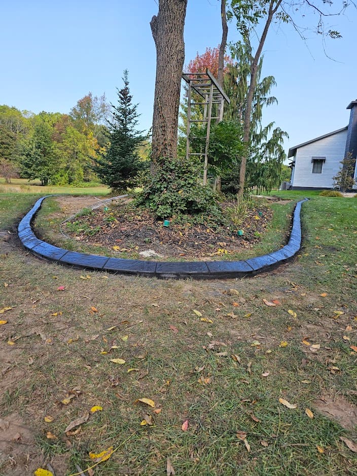 Custom tree island with black concrete curbing